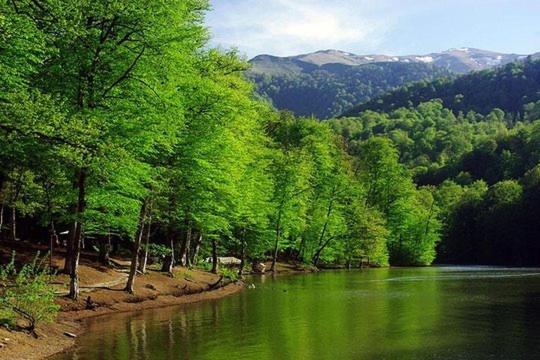 Petit Dilijan Panzió Kültér fotó